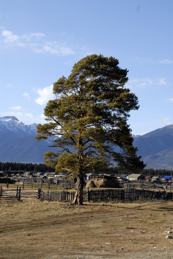 foto: Krzysztof Kownas